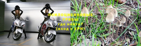 прущая мука Алзамай