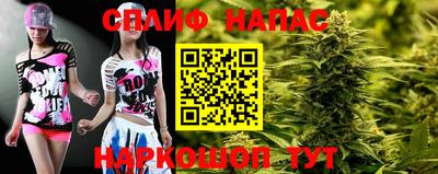 mdpv Ачхой-Мартан