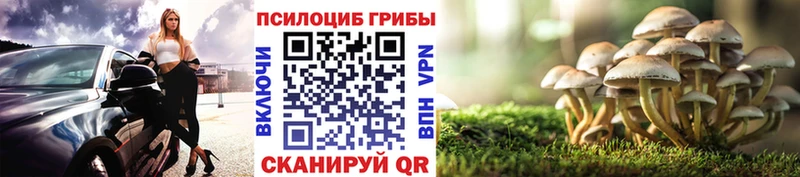 Псилоцибиновые грибы MAGIC MUSHROOMS  darknet Telegram  Еманжелинск 