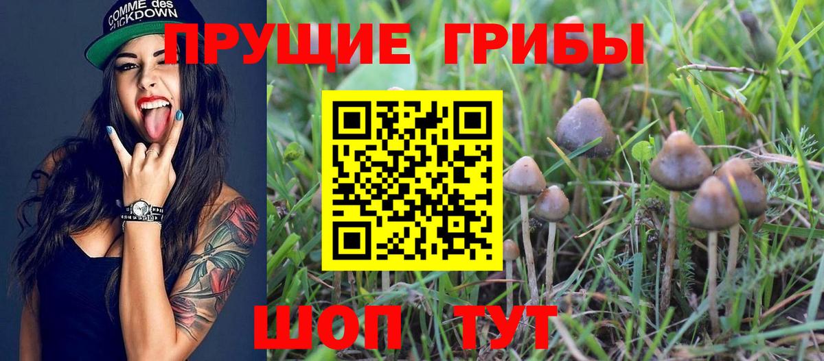 где найти наркотики  Вход с VPN  Галлюциногенные грибы Psilocybine cubensis  Еманжелинск  Псилоцибиновые грибы ЛСД 