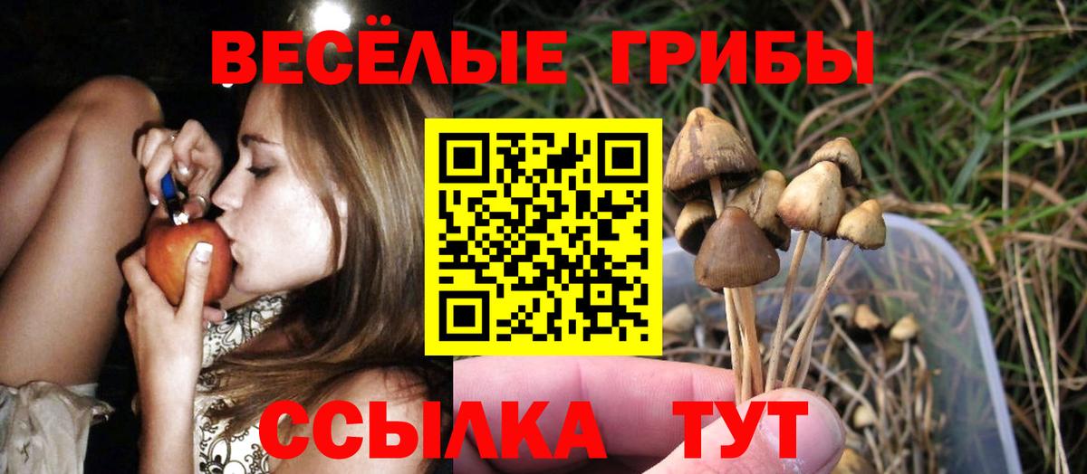 Псилоцибиновые грибы Psilocybine cubensis Еманжелинск